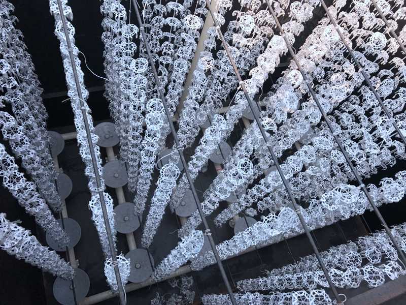 55世纪(中国游)官方网站